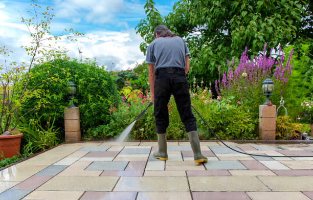 Animal Enclosure Cleaning in Rose Hill, VA