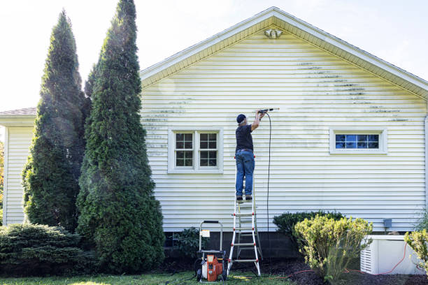 Pre-Holiday Cleaning in Rose Hill, VA